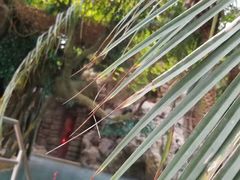 -龙达温泉生态城
