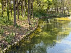 -尚贤河湿地