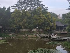 -深圳国际园林花卉博览园