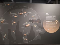 -盘龙城遗址博物院