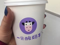 -一只酸奶牛(八一路店)