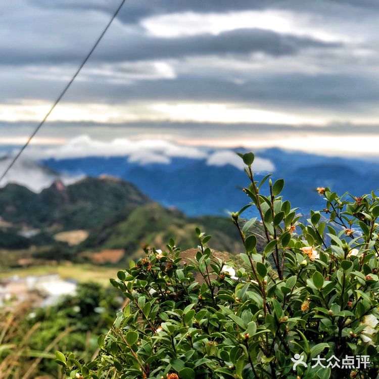 ⛰️潮州 凤凰山攻略⛺️含泪避雷篇🚫