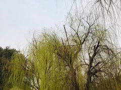 -雨花胜境