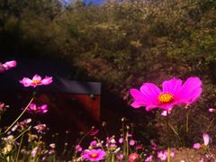 -蟠龙山长城景区