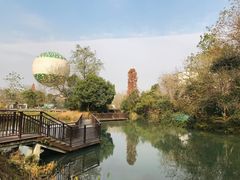 -西溪国家湿地公园