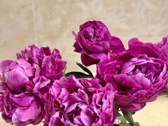 -Butchart布查德鲜花(花艺设计中心)