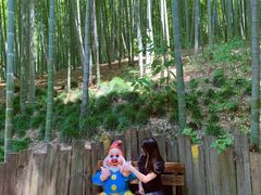 -天目湖山水园