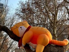 -西安电影制片厂