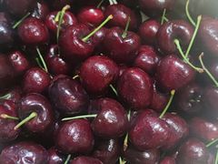 -双福水果批发市场