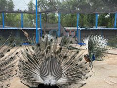 -森林公园(尖草坪区)