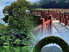 -广州市石门国家森林公园