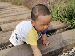 -君乐宝优致牧场