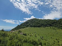 -白草畔自然风景区