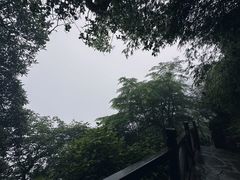 -梵净山旅游区