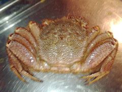 蟹之国&nbsp;毛蟹-蟹之国·精品蟹料理(极地店)