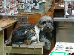 -老宅原住民沙茶面精品小吃(龙头路店)
