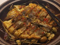 -院里寻菜·精致庭院菜(观沙岭店)