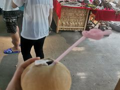 -西双版纳傣族园