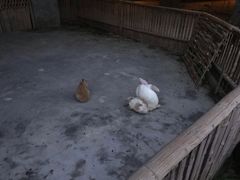 -宁波九龙湖开元度假村