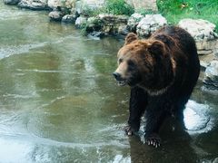 -北京野生动物园