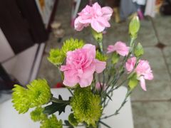 -黑龙江省森林植物园