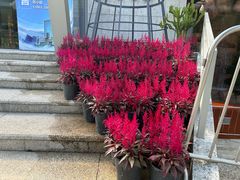 -南丰汇(新港东路店)