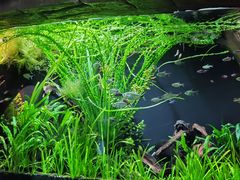 -上海海洋水族馆