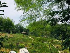 -海窝子古镇