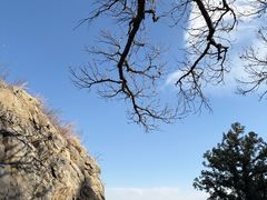 -北京鹫峰国家森林公园
