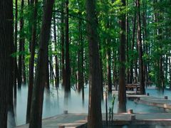 -东湖落雁景区