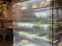 自助取餐区-攀枝花野菜铜火锅(万科凯德店)