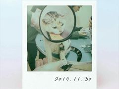 -佳雯宠物医院(四明中路分院)