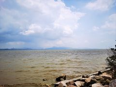 -深圳湾公园(南山区)