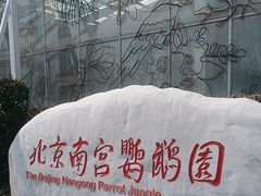 -南宫五洲植物乐园