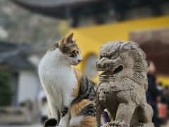 -西园戒幢律寺