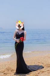 -花屿迷鹿写真馆