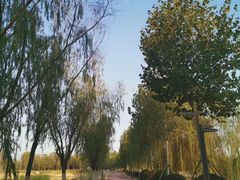 -滨湖塘西河公园