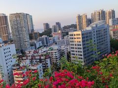 -狐尾山公园
