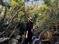 -呀诺达热带雨林