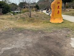 -丹樱生态园