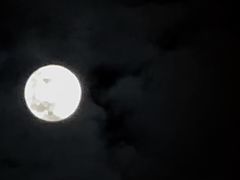 -煲煲掂风味煲仔饭餐厅(西区店)