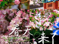 -陶然亭公园