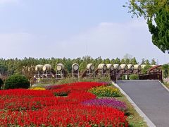 -东平国家森林公园