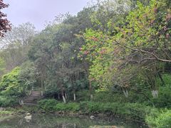 -南山风景名胜区