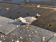 -星海广场