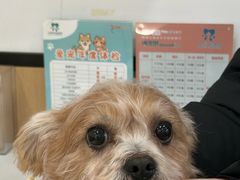 -贝利宠物医院·骨科·眼科·肿瘤转诊中心(南坪诊疗中心)