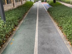 -深圳湾公园(南山区)