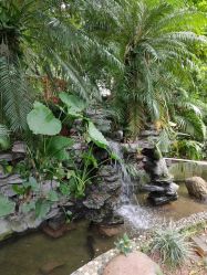 -宝生月子中心(独栋园林·福田店)