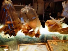 -五道口枣糕王(成府路店)