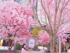 -首开·龙湖成都西宸天街